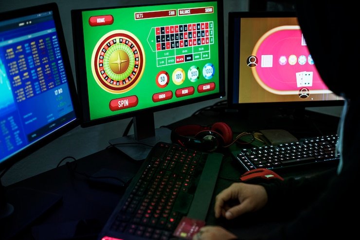 Dashboard pengaturan akun lemehost menampilkan menu navigasi utama dan ringkasan profil pengguna