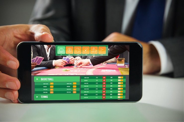 Tampilan dashboard multi-olahraga lemehost